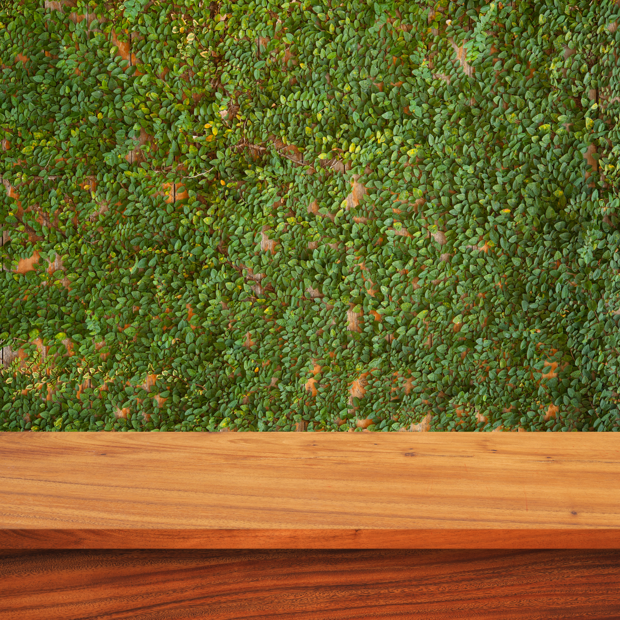 Empty Wooden Table
